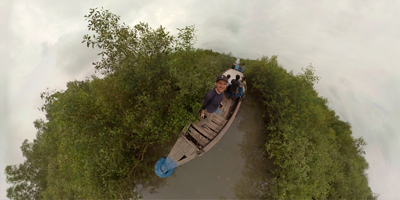 Mangroves in Bangladesh